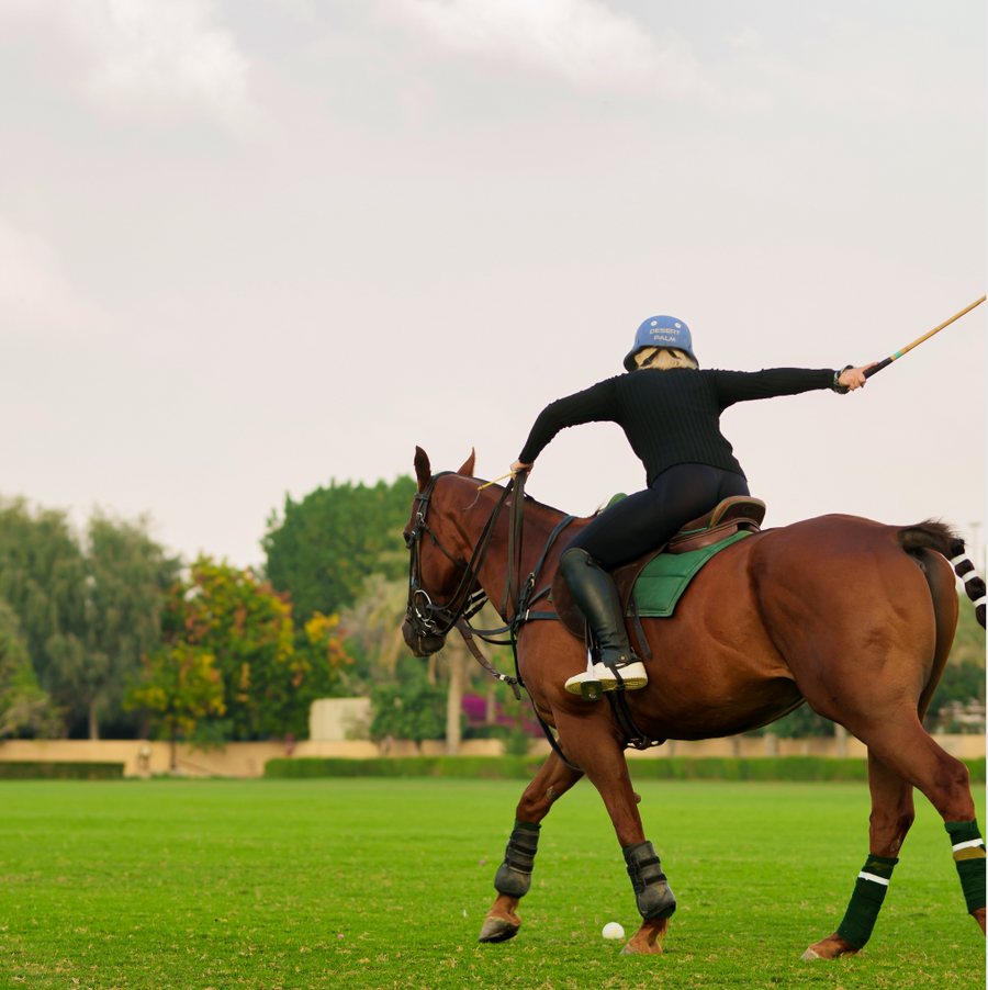 Polo Adventure with FIENA at Desert Palm Polo Club Dubai!